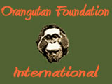 Otangutan Foundation International